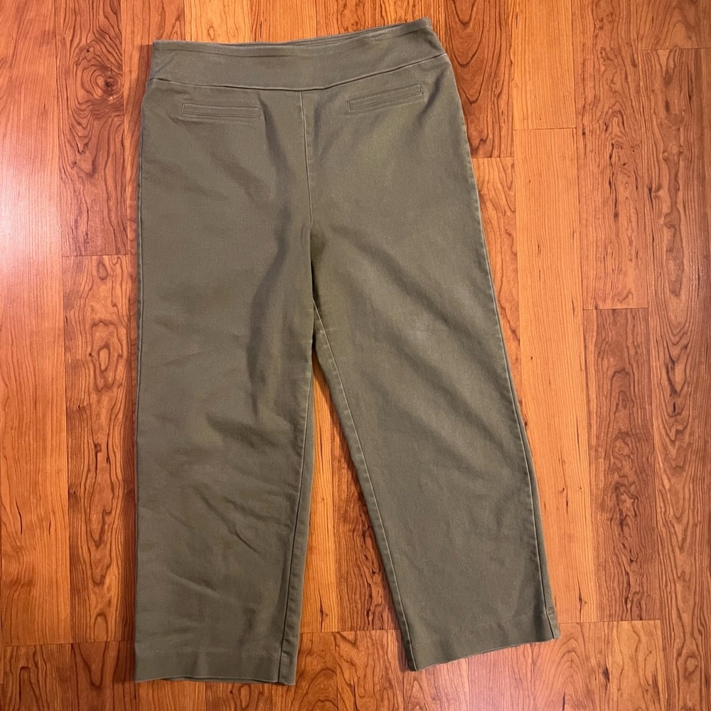 Wonderly Size 14 Green Pull-On Wide Leg Pants, EUC